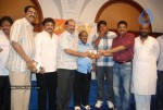 Jr NTR Om Shakti Tamil Movie Audio Launch - 28 of 47