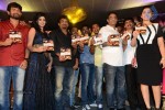 kai-raja-kai-audio-launch-02