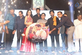 Kanche Audio Launch photos - 41 of 46