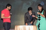 Karthikeya Audio Launch 02 - 33 of 71