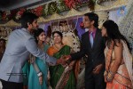 Kasi Viswanadam Son Marriage Reception Photos - 4 of 35