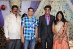 Kasi Viswanadam Son Marriage Reception Photos - 5 of 35
