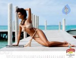 kingfisher-calendar-2011