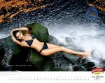 Kingfisher Calendar 2011 - 8 of 12