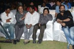 Kotha Janta Audio Launch 01 - 85 of 149