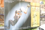 Kothaga Maa Prayanam Movie Opening - 66 of 79