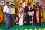 Kottai Perumal Son Wedding Reception - 19 of 55