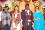 Kottai Perumal Son Wedding Reception - 47 of 55