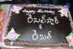 Krishnam Raju Bday Celebrations - 40 of 53