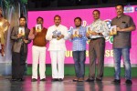 krishnamma-kalipindi-iddarini-audio-launch