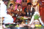 KS Ravikumar Daughter Marriage Photos - 13 of 97
