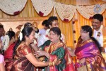 KS Ravikumar Daughter Marriage Photos - 14 of 97