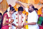 KS Ravikumar Daughter Marriage Photos - 42 of 97