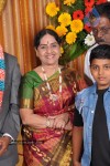 Kumudam Chitramani Son Wedding Reception - 14 of 100
