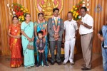 Kumudam Chitramani Son Wedding Reception - 43 of 100