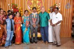 Kumudam Chitramani Son Wedding Reception - 66 of 100