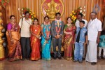 Kumudam Chitramani Son Wedding Reception - 73 of 100