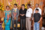 Kumudam Chitramani Son Wedding Reception - 88 of 100