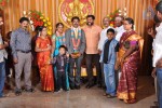 Kumudam Chitramani Son Wedding Reception - 90 of 100