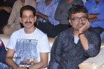 Laddu Babu Movie Audio Launch 01 - 3 of 37