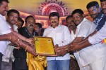 Legend 100 days Function at Hindupur - 34 of 112