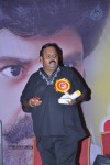 Legend 100 days Function at Hindupur - 41 of 112