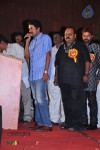 Legend 100 days Function at Hindupur - 64 of 112