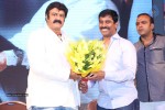 Legend Movie 50 Days Success Meet 03 - 9 of 68