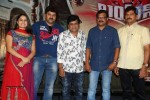 lion-release-press-meet