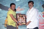 Loukyam Movie Vijayotsavam at Khammam - 229 of 391