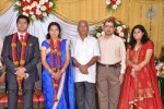 M Ramanathan Daughter Wedding- Reception  - 2 of 140