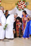 M Ramanathan Daughter Wedding- Reception  - 4 of 140