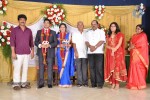 M Ramanathan Daughter Wedding- Reception  - 8 of 140
