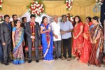M Ramanathan Daughter Wedding- Reception  - 18 of 140