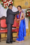 M Ramanathan Daughter Wedding- Reception  - 19 of 140