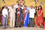 M Ramanathan Daughter Wedding- Reception  - 21 of 140