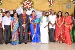 M Ramanathan Daughter Wedding- Reception  - 22 of 140