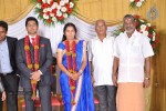 M Ramanathan Daughter Wedding- Reception  - 27 of 140
