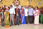 M Ramanathan Daughter Wedding- Reception  - 45 of 140