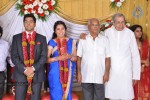 M Ramanathan Daughter Wedding- Reception  - 58 of 140