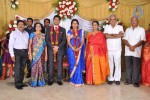 M Ramanathan Daughter Wedding- Reception  - 75 of 140