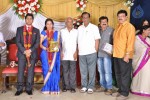 M Ramanathan Daughter Wedding- Reception  - 90 of 140