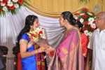 M Ramanathan Daughter Wedding- Reception  - 103 of 140