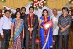 M Ramanathan Daughter Wedding- Reception  - 109 of 140