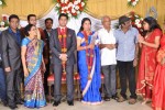 M Ramanathan Daughter Wedding- Reception  - 113 of 140
