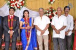 M Ramanathan Daughter Wedding- Reception  - 119 of 140