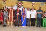 M Ramanathan Daughter Wedding- Reception  - 125 of 140