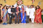 M Ramanathan Daughter Wedding- Reception  - 130 of 140