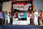 Maa Annayya Bangaram Movie Audio Launch Photos - 16 of 86