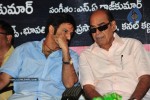 Maa Annayya Bangaram Movie Audio Launch Photos - 21 of 86